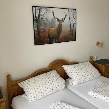 Ferienwohnung Sophia Грайнау Экстерьер фото
